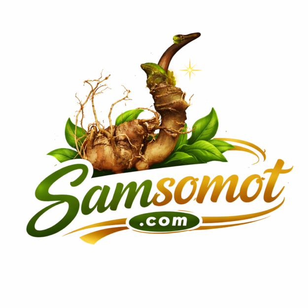 Sâm Số Một