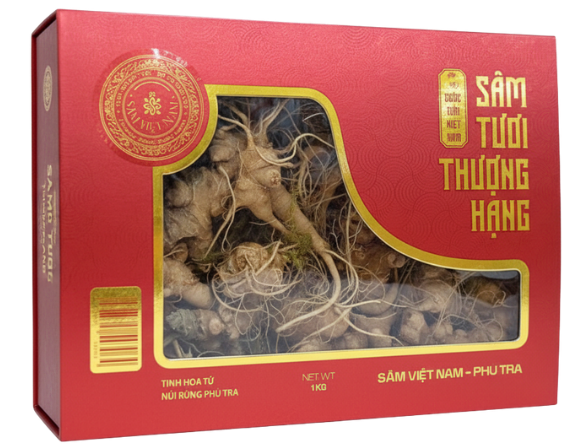 Sâm Tươi Việt Nam
